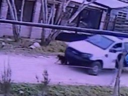 Crueldad policial en Alejandro Korn: un patrullero aplastó a un perro en plena calle