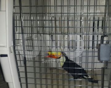 Gentileza diario Uno.