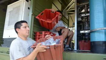 emergencia climatica: disponen nuevas unidades sanitarias emergencia climatica: disponen nuevas unidades sanitarias