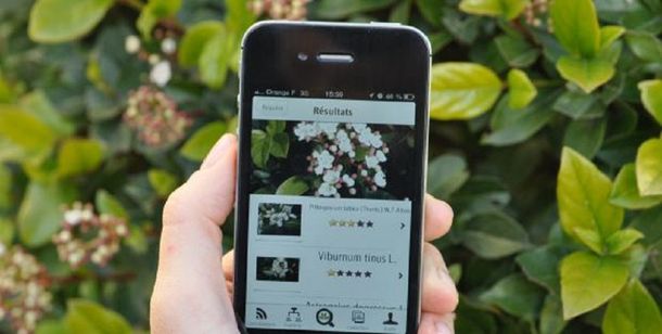 Una nueva aplicación permite reconocer plantas