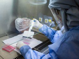 Las mujeres ocupan menos del 25% del empleo en Ciencia y Tecnología en Argentina