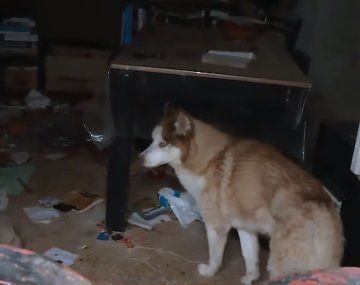El perro fue rescatado gracias al reclamo de los vecinos