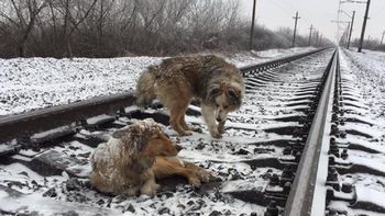 Ocurrió cerca de la estación ferroviaria de Úzhgorod Ocurrió cerca de la estación ferroviaria de Úzhgorod