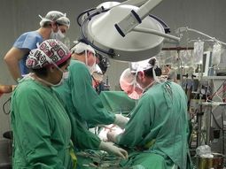 Revolución en la medicina:  lograron el trasplante de corazones que no laten