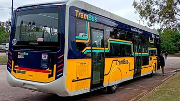 ponen en circulacion el trambus en 2026 para conectar 8 barrios portenos: cuales ponen en circulacion el trambus en 2026 para conectar 8 barrios portenos: cuales
