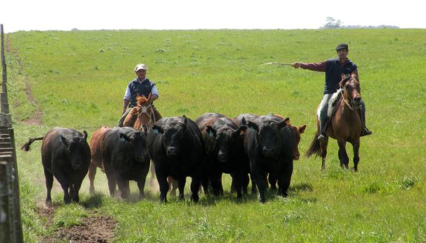 Pese a la cosecha récord, la Mesa de Enlace niega bono de fin de año a los peones