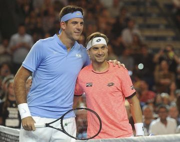 Juan Martín Del Potro y David Ferrer