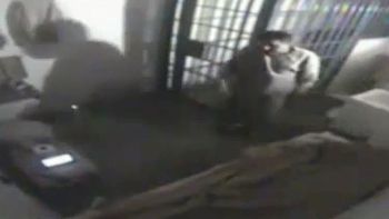 chapo guzman uso pajaros para detectar gases toxicos en el tunel chapo guzman uso pajaros para detectar gases toxicos en el tunel