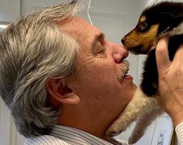 Alberto Fernández y Dylan presentaron a una nueva integrante de la familia