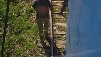 ataron a perros a la via y el tren freno a tiempo ataron a perros a la via y el tren freno a tiempo