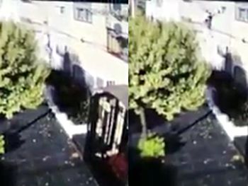 Un hombre araña quiso robar una casa en Ramos Mejía y lo tiraron de un golpe