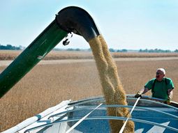 en 15 dias, se sentiran los efectos de la liquidacion de soja en 15 dias, se sentiran los efectos de la liquidacion de soja