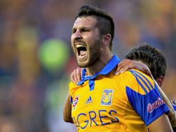 era el miercoles, gignac: el delantero de tigres marco un golazo era el miercoles, gignac: el delantero de tigres marco un golazo