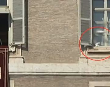 Una gaviota hereje atacó a la paloma de la paz liberada por Benedicto