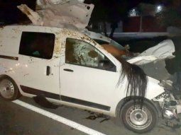 Una mujer atropelló a un caballo, que quedó incrustado en su camioneta y murió