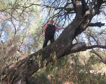 La Fundación Alameda denunció a Stiusso por enriquecimiento ilícito