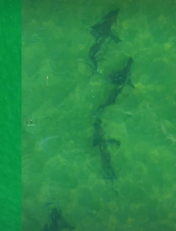 Captura del video de Maximiliano Facundo Cartes Salas.