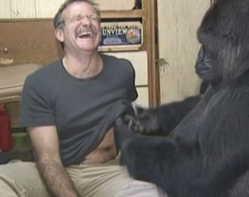 Koko con Robin Williams