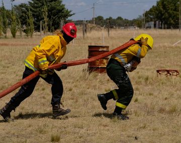 Alertan por el alto peligro de incendios y el ministerio de Ambiente envía aeronaves a la Patagonia