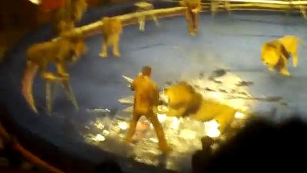 Espanto en un circo de Ucrania: leones atacan a domador durante función