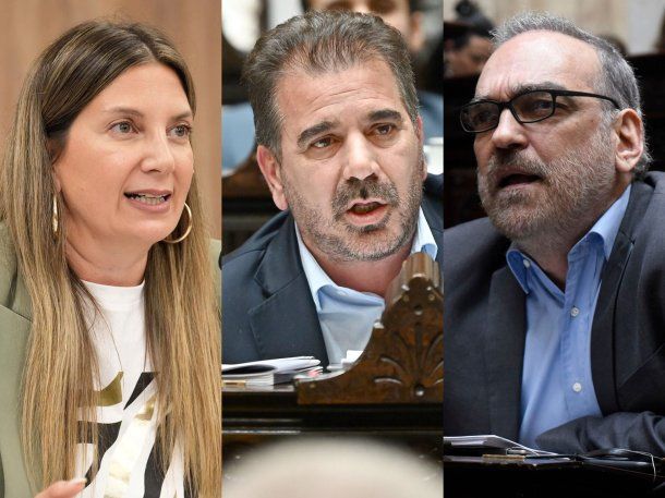 Silvia Lospennato votó en contra de los vetos, Cristian Ritondo le gritó y Fernando Iglesias pidió tomar medidas: su carta
