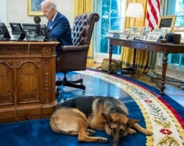 Un perro de Biden mordió a una decena de empleados de la Casa Blanca