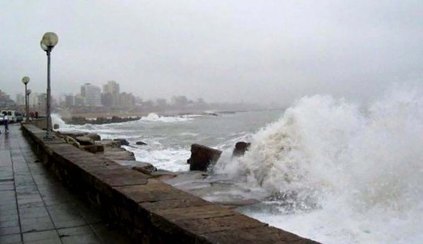 Mar del Plata: caídas de árboles y voladura de postes por fuertes vientos
