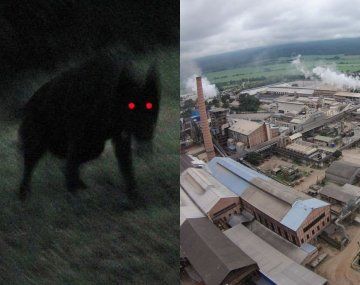 Nos atacó El Familiar: trabajaban en una obra y los sorprendió una sombra