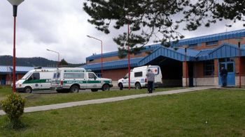 Un pitbull le mordió la cara a un bebé en Junín de los Andes Un pitbull le mordió la cara a un bebé en Junín de los Andes