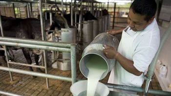 La producción de leche cayó a niveles de hace 20 años La producción de leche cayó a niveles de hace 20 años