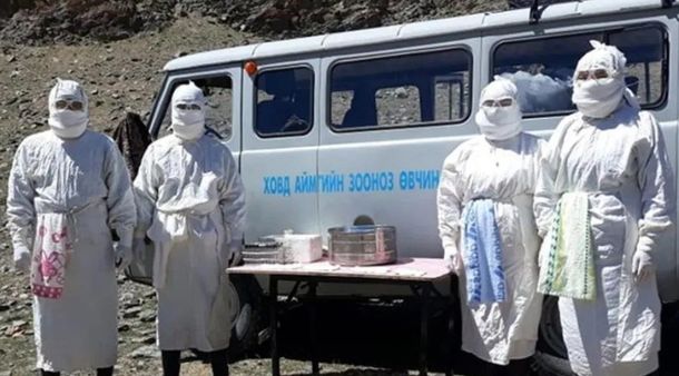 Dos personas murieron presuntamente de esa enfermedad tras comer marmota. Foto: nczd.gov.mn
