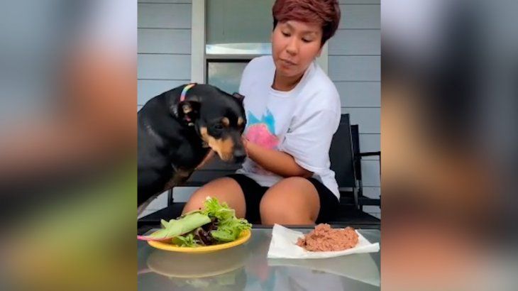 Furor en TikTok por la reacción de una perra: ¿es vegetariana?