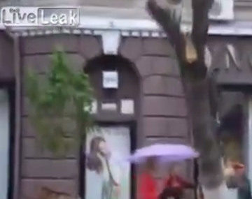 Se salvó de milagro: una mujer casi fue aplastada por un árbol