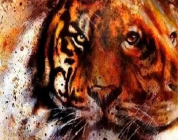 El felino que veas primero revelará rasgos de tu personalidad