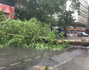 Destrozos en las calles de Montevideo
