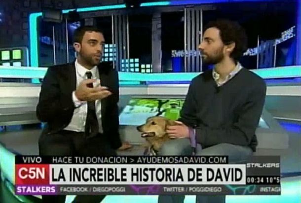 Lo picó una garrapata de ciervo y contrajo una rara enfermedad