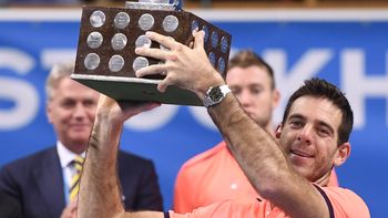 Juan Martín del Potro logró su decimonoveno título en el circuito. Juan Martín del Potro logró su decimonoveno título en el circuito.