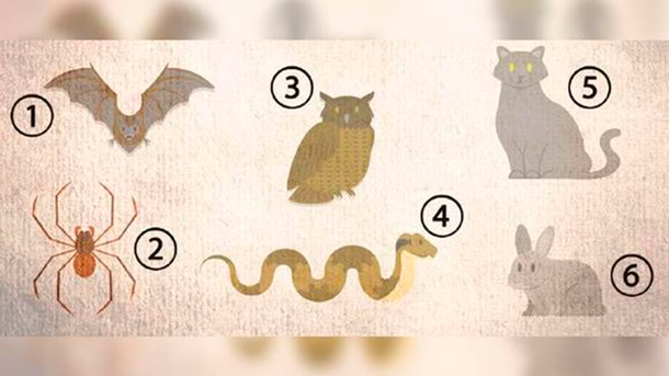 Cómo es tu esencia según el animal que elijas en este test viral