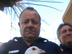 como operaba la banda de las narcopalomas en el gba como operaba la banda de las narcopalomas en el gba