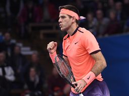Del Potro pasó a la final de Estocolmo. Del Potro pasó a la final de Estocolmo.
