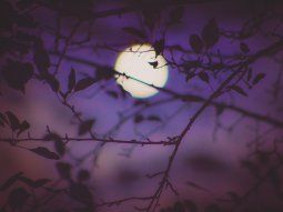 Lo que les espera a los signos después de cada Luna llena.
