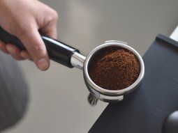 Cómo alejar insectos de tu casa con café