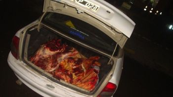 Foto: diario de Río Negro. Foto: diario de Río Negro.