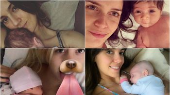 Paula, Zaira, Wanda y Floppy con sus bebés Paula, Zaira, Wanda y Floppy con sus bebés