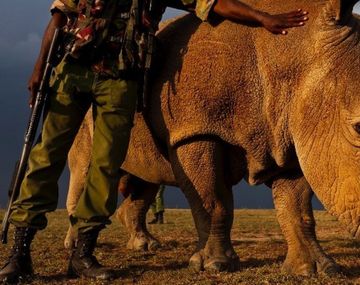 Sudan vive muy solitario