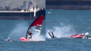 impacto inesperado en el agua: un windsurfista choco contra una ballena en plena practica impacto inesperado en el agua: un windsurfista choco contra una ballena en plena practica