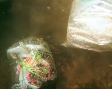 Un buzo halló un extraño objeto en un río de Columbus