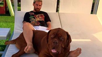 ¿le puso higuain? la foto de messi con su perro gigante ¿le puso higuain? la foto de messi con su perro gigante
