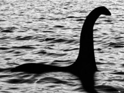 ¿el monstruo del lago ness es un bagre gigante? ¿el monstruo del lago ness es un bagre gigante?