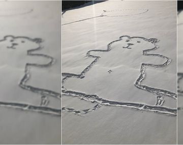 El enigma del ombligo del oso